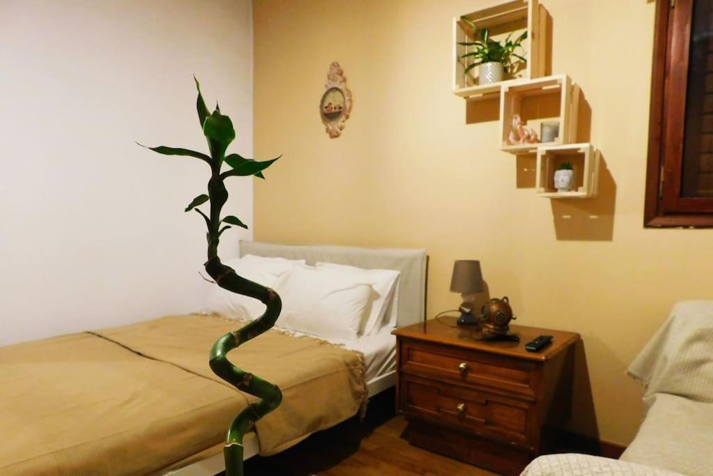 Apartment Marco Polo's Mooring Cozy Navy House